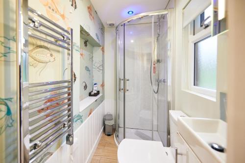 a bathroom with a shower and a toilet and a sink at Carreglwyd in Llandeilo