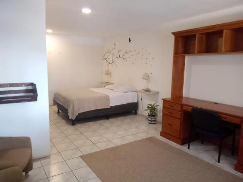 a bedroom with a bed and a desk in a room at Casa Escalante Hostel in San José