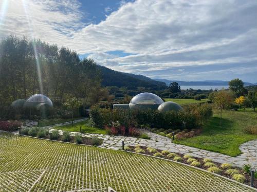 Juances的住宿－Luzada - Glamping Burbujas Galicia，田野上有两个圆顶的花园