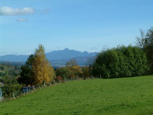 a green field with trees and a fence on a hill at Gästehaus Alpina in Bad Kohlgrub