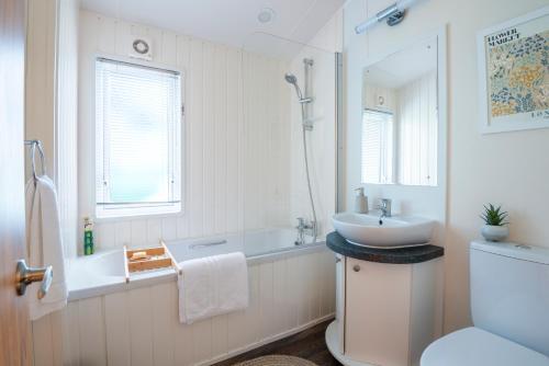 a bathroom with a sink and a toilet and a mirror at Bay View Lodge, Brynowen in Borth