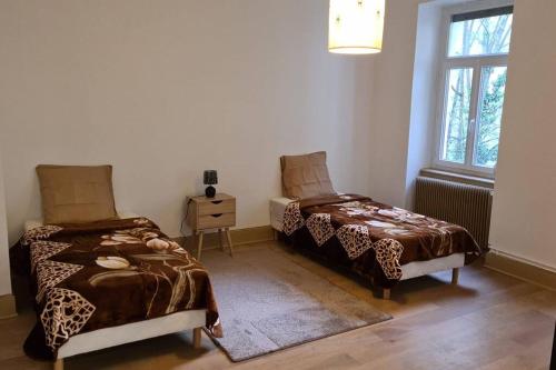 Photo de la galerie de l'établissement Grand 4p Strasbourg orangerie 7 personnes proche d Allemagne, à Strasbourg