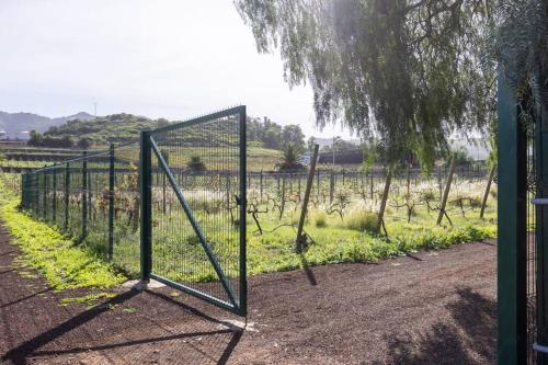 a fence with a soccer goal in a field at Casita entre Viñedos, Experiencia Rural, Ideal niños. in Tegueste