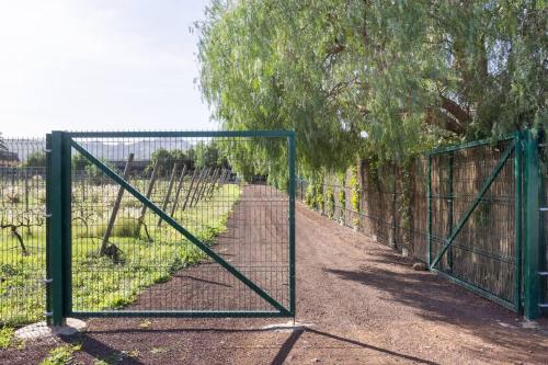 una puerta en un campo con un camino de tierra en Casita entre Viñedos, Experiencia Rural, Ideal niños. en Tegueste