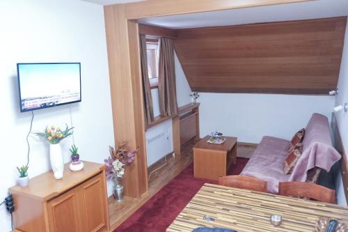 a living room with a couch and a tv at Apartman Sakovic in Kopaonik