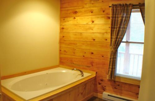 ein Bad mit einer Badewanne und einem Fenster in der Unterkunft The Old Tioga Inn Bed and Breakfast in Fairmount Springs