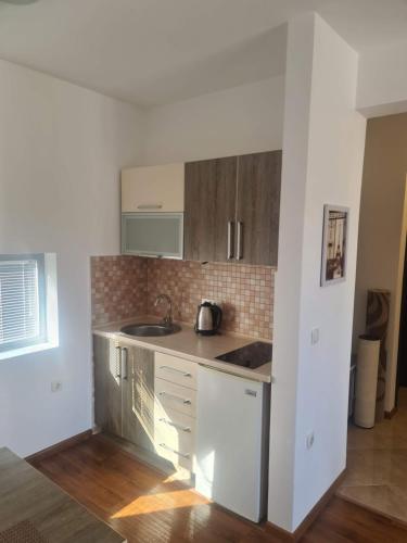 Kuchyň nebo kuchyňský kout v ubytování Ulcinj apartman "MARTINA"