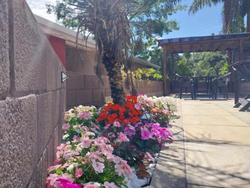 a bunch of flowers sitting next to a wall at Pousada Beija flor in Extrema