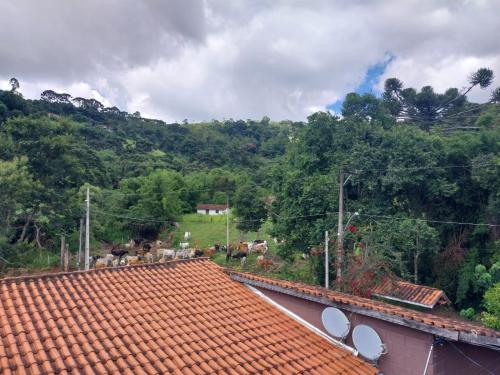 a group of cows grazing in a field behind a house at Pousada Beija flor in Extrema