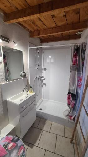 biała łazienka z prysznicem i umywalką w obiekcie Appartement charmant en Provence w mieście Draguignan