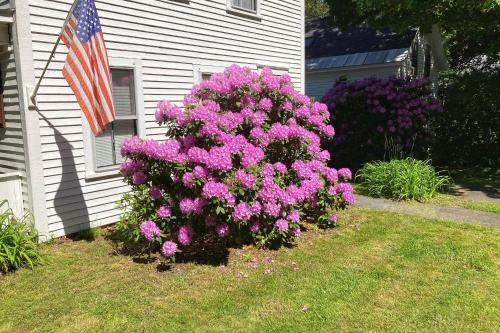 Walkabout Cottage – Photos 2