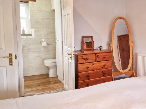 a bedroom with a dresser and a mirror at The Barn in Blagdon