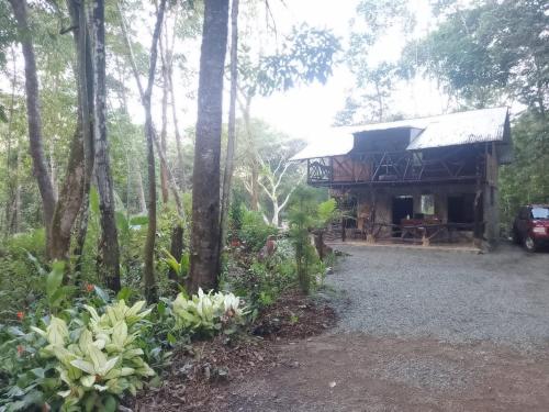 a house in the woods with a car parked in front at Cabaña Eco-Arte in Tortugal