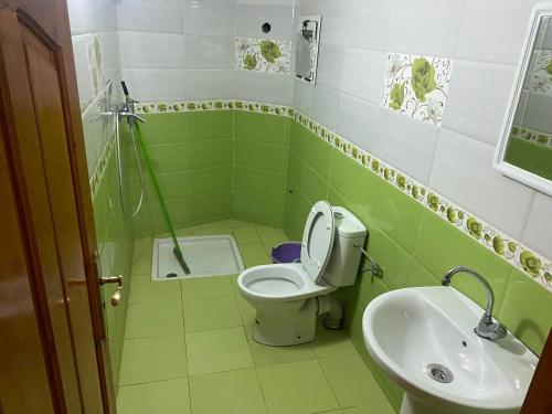 a green bathroom with a toilet and a sink at Appartement Ain Asserdoun in Beni Mellal