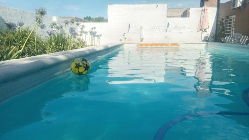 una pelota de fútbol en el agua en una piscina en Casa Olivia en Villa María
