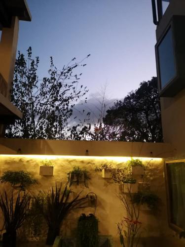 Fotografie z fotogalerie ubytování Hotel Pepen v destinaci San Cristóbal de Las Casas