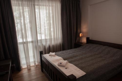 a bedroom with a bed and a large window at Horlog Castle in Trigrad