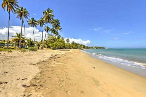 a sandy beach with palm trees and the ocean at Steps to Beach Loiza Getaway with Rooftop Patio! in Loiza