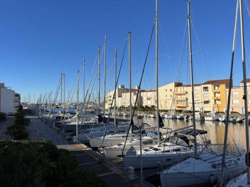 Studio Cabine Calme Proche Plage et Commerces, Animaux Admis