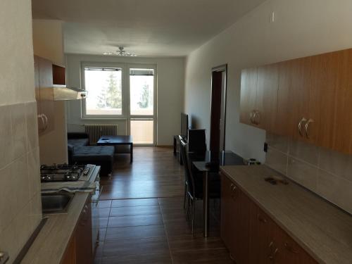 Kuchyň nebo kuchyňský kout v ubytování Apartmanovy byt pri Zubačke