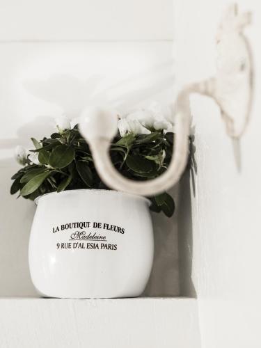 a plant in a white vase with a sticker on it at Hotel Cervetta 5 in Modena