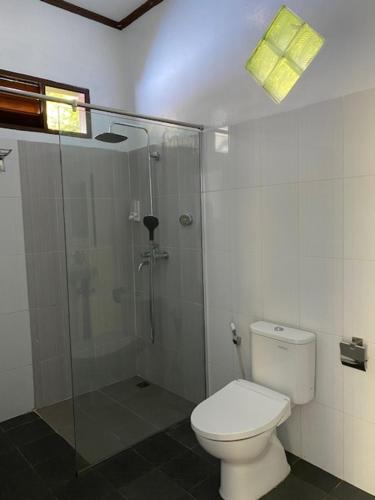 La salle de bains est pourvue de toilettes et d'une douche en verre. dans l'établissement JungleRiverHouse, à Bukit Lawang