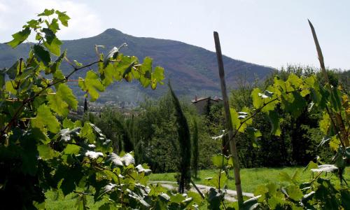 Vue générale sur la montagne ou vue sur la montagne depuis la ferme