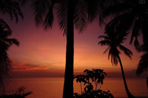 una puesta de sol desde la playa entre dos palmeras en FRONT BEACH BUNGALOW - OUTDOOR SHOWER - Working Desk en Koh Samui