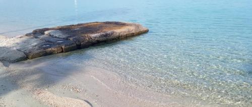 a rock sticking out of the water on a beach at Villa Thalassa Apartments in Pefkohori