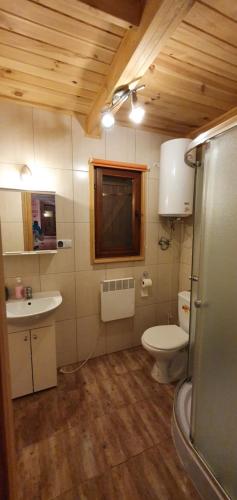 a bathroom with a toilet and a sink at Domki Drewniane Królewska Góra in Czarnorzeki