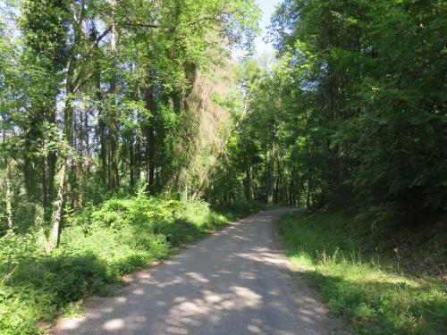 a dirt road with trees on both sides at Gîte de la fontaine in Saint-Rémy-la-Calonne