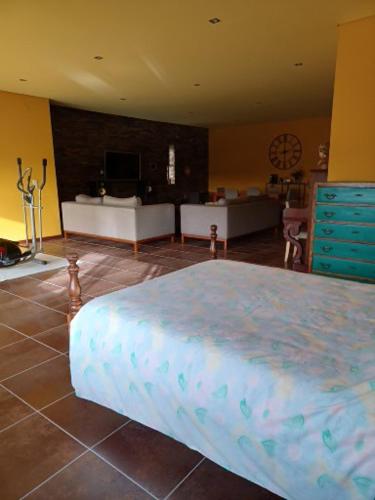 ein Schlafzimmer mit einem Bett in einem Zimmer in der Unterkunft Alegre moradia in Perozinho
