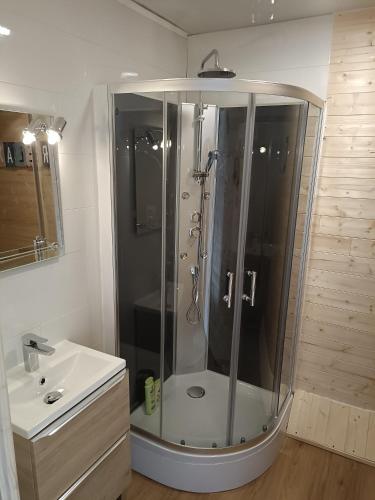 une salle de bain avec douche et lavabo dans l'établissement Charmant studio proche canal., à Châteauneuf-du-Faou