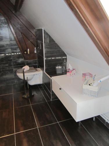 a bathroom with a sink and a toilet at L'Anctovillière in Anctoville