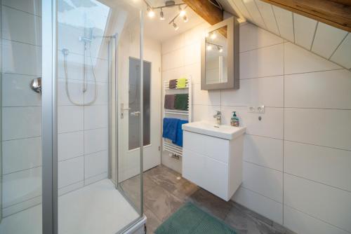 uma casa de banho com um chuveiro e um lavatório. em Monteur-/ Arbeiter-Apartment_ Wohnung 4 em Memmingen