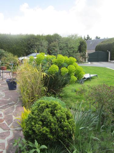 a garden with green bushes and a bench at L'Anctovillière in Anctoville