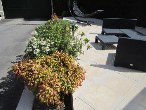 a potted plant with flowers on a patio at L'Anctovillière in Anctoville