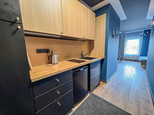 Η κουζίνα ή μικρή κουζίνα στο Apartments in Kaunas