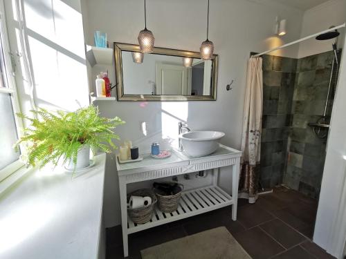 a bathroom with a sink and a mirror at Birkevang holiday apartment in idyllic countryside in Faxe