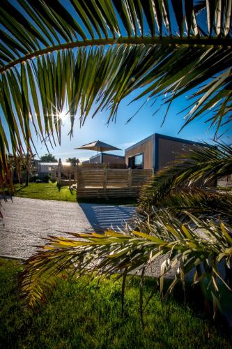 M&V Resort Camping – Photos 2