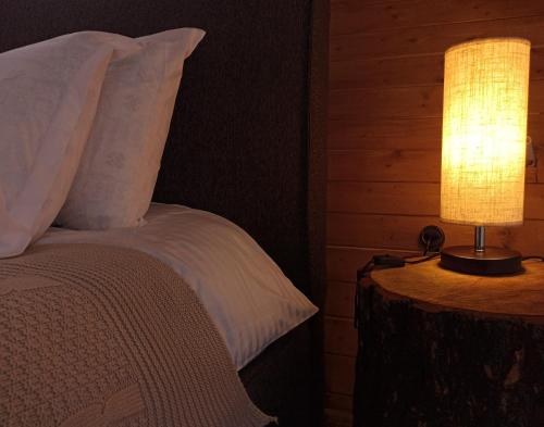 a bedroom with a bed with a lamp on a table at Cottage Toladi in Stepantsminda