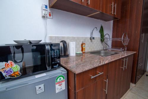 uma pequena cozinha com um micro-ondas e um lavatório em The Green Apartment em Ruaka