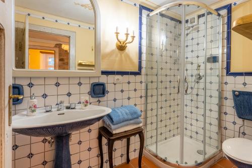 La salle de bains est pourvue d'un lavabo et d'une douche. dans l'établissement Grillo Rosso Taverna, à Molazzana