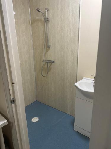 La salle de bains est pourvue d'une douche et d'un lavabo. dans l'établissement Valentines Inn, à Londres