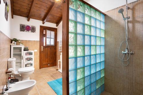 uma casa de banho com um chuveiro, um WC e um lavatório. em Finca Los Angeles em San Juan de la Rambla