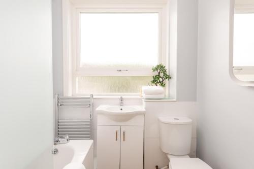 a white bathroom with a toilet and a sink at The Canongate Apartment in Edinburgh