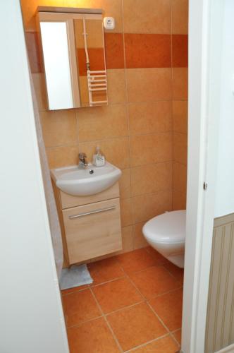 a bathroom with a sink and a toilet at Gloriett Panzió in Fertőboz