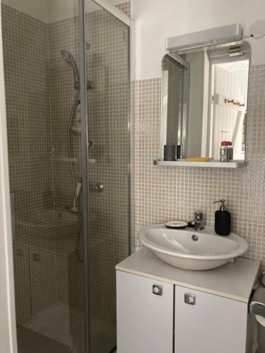 a bathroom with a sink and a glass shower at Logis côté Cour in Varennes-lès-Narcy