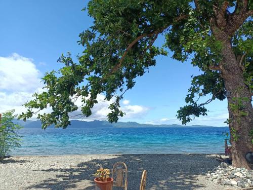 a tree on a beach with the ocean at Portofino Homestay in Malitbog