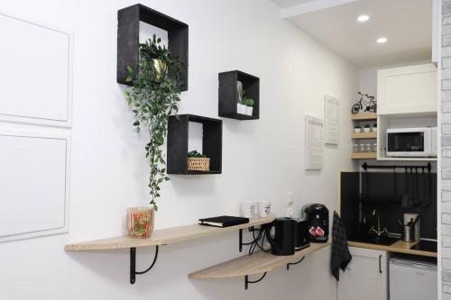 kuchnia z blatem z roślinami na ścianie w obiekcie Le Cloudy - @Kreativehome_ w Rouen